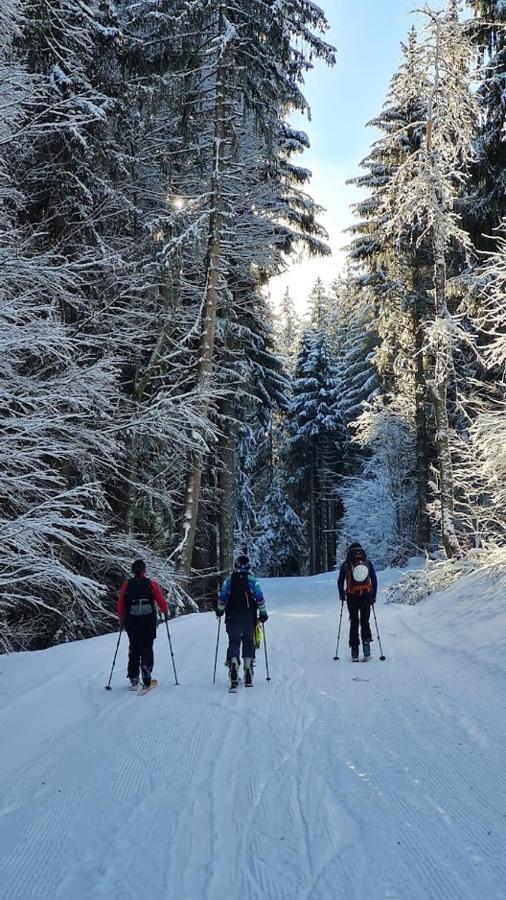'Petite Ferme Les Bouts' Apartment, Sleeps 6, Nr Morzine La Cote d'Arbroz Exterior photo