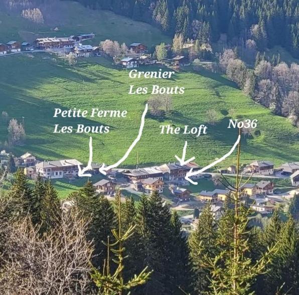 'Petite Ferme Les Bouts' Apartment, Sleeps 6, Nr Morzine La Cote d'Arbroz Exterior photo